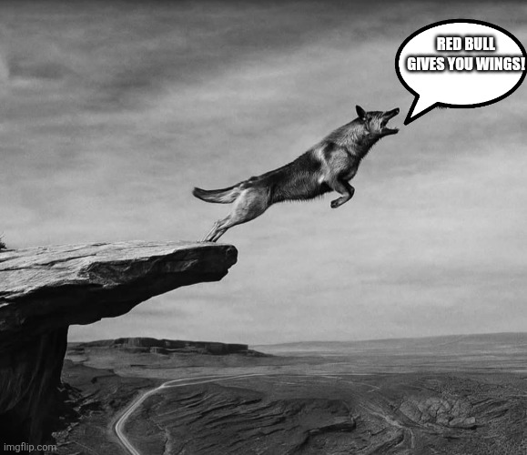RED BULL GIVES YOU WINGS! | image tagged in red bull | made w/ Imgflip meme maker