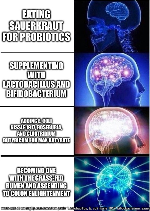 Expanding Brain | EATING SAUERKRAUT FOR PROBIOTICS; SUPPLEMENTING WITH LACTOBACILLUS AND BIFIDOBACTERIUM; ADDING E. COLI NISSLE 1917, ROSEBURIA, AND CLOSTRIDIUM BUTYRICUM FOR MAX BUTYRATE; BECOMING ONE WITH THE GRASS-FED RUMEN AND ASCENDING TO COLON ENLIGHTENMENT | image tagged in memes,expanding brain | made w/ Imgflip meme maker