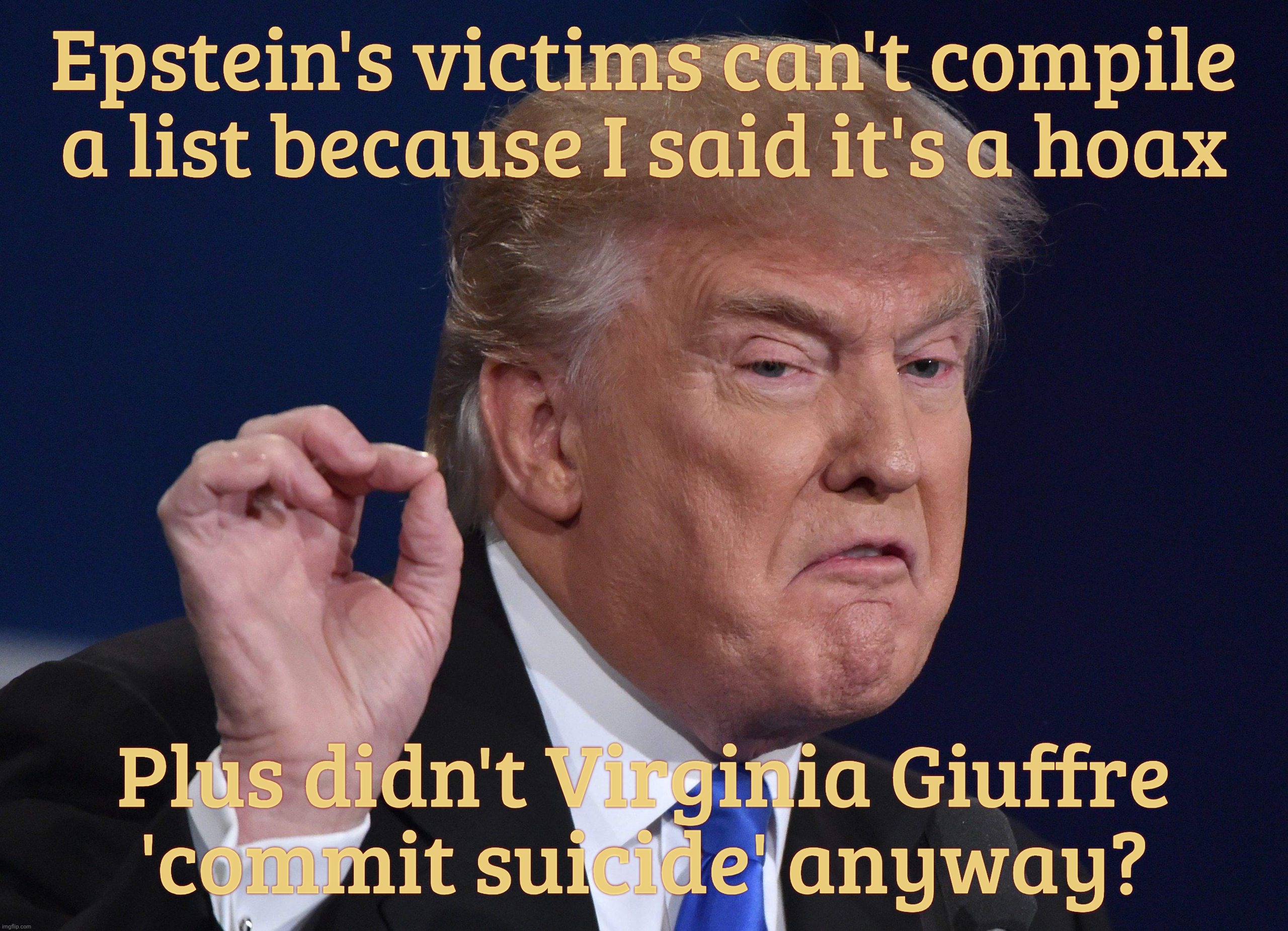 Epstein's victims can't compile a list because I said it's a hoax; Plus didn't Virginia Giuffre
'commit suicide' anyway? | made w/ Imgflip meme maker