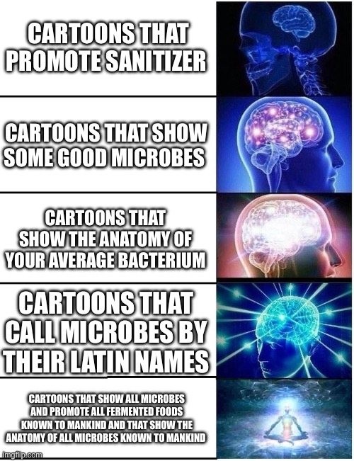 Expanding Brain 5 Panel | CARTOONS THAT PROMOTE SANITIZER; CARTOONS THAT SHOW SOME GOOD MICROBES; CARTOONS THAT SHOW THE ANATOMY OF YOUR AVERAGE BACTERIUM; CARTOONS THAT CALL MICROBES BY THEIR LATIN NAMES; CARTOONS THAT SHOW ALL MICROBES AND PROMOTE ALL FERMENTED FOODS KNOWN TO MANKIND AND THAT SHOW THE ANATOMY OF ALL MICROBES KNOWN TO MANKIND | image tagged in expanding brain 5 panel | made w/ Imgflip meme maker