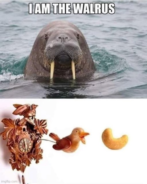 The time has come, the Walrus said | image tagged in the beatles,walrus,clock,cashew,cookoo cachoo | made w/ Imgflip meme maker