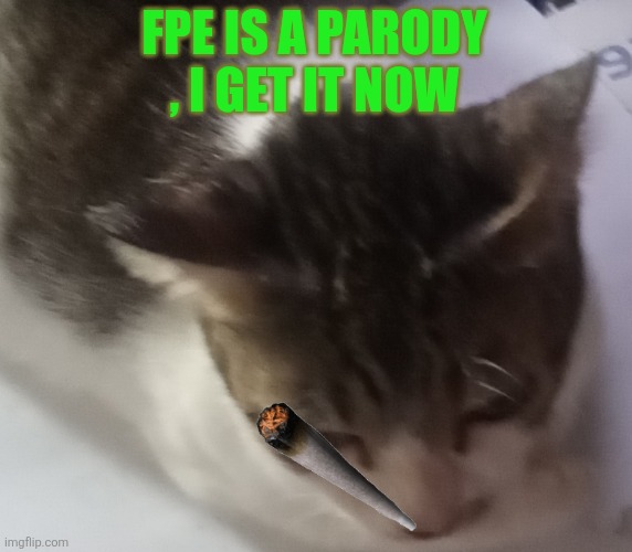 Ming mong | FPE IS A PARODY , I GET IT NOW | image tagged in ming mong | made w/ Imgflip meme maker