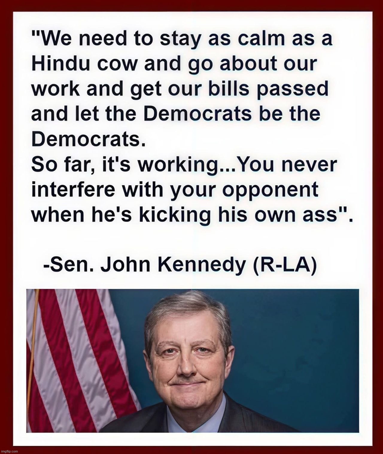 Gotta Love Our Will Rogers of The 21st Century! | image tagged in will rogers,louisiana,witty,john kennedy,senator,holy cow | made w/ Imgflip meme maker