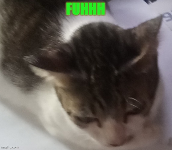 Ming mong | FUHHH | image tagged in ming mong | made w/ Imgflip meme maker