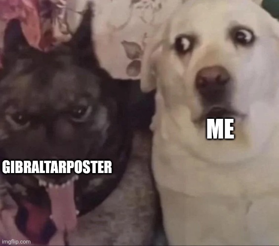 What type of char. does Gibraltar poster goon to? | ME; GIBRALTARPOSTER | image tagged in side eye,idk what to put here | made w/ Imgflip meme maker