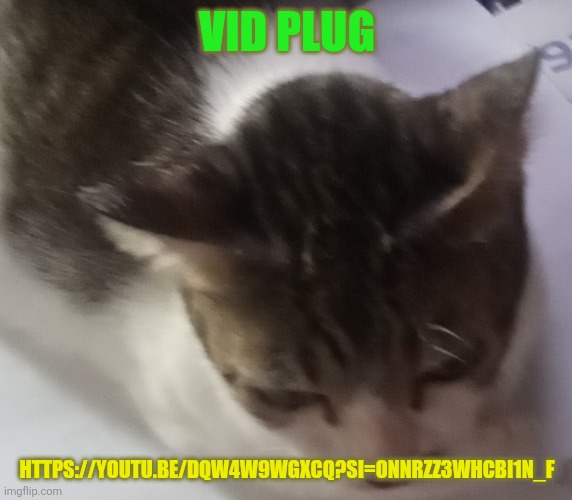 Ming mong | VID PLUG; HTTPS://YOUTU.BE/DQW4W9WGXCQ?SI=ONNRZZ3WHCBI1N_F | image tagged in ming mong | made w/ Imgflip meme maker