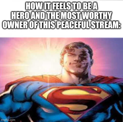 Sans in the topic | HOW IT FEELS TO BE A HERO AND THE MOST WORTHY OWNER OF THIS PEACEFUL STREAM: | image tagged in superman starman meme | made w/ Imgflip meme maker