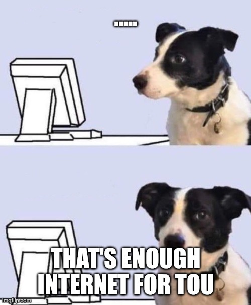 ..... THAT'S ENOUGH INTERNET FOR YOU | image tagged in good lord dog | made w/ Imgflip meme maker