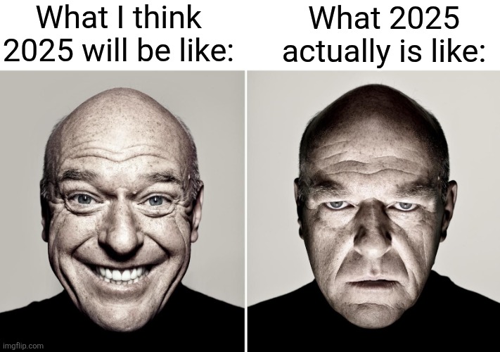 It's sadly true | What I think 2025 will be like:; What 2025 actually is like: | image tagged in dean norris's reaction,new year,memes,funny,expectation vs reality | made w/ Imgflip meme maker