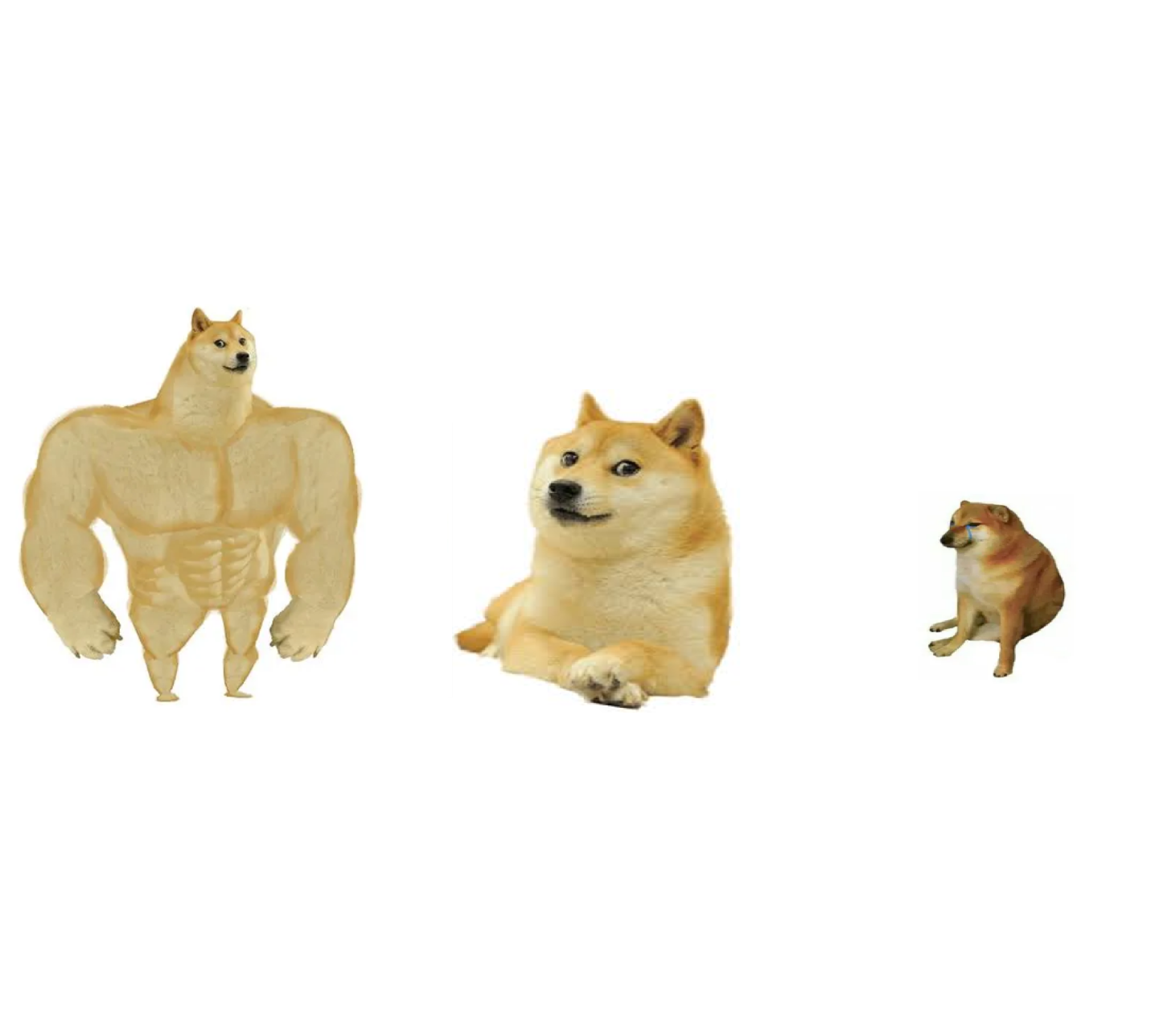 sad doge chad doge 3x tier Blank Meme Template