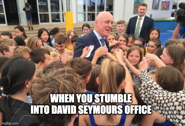 david knows he way around chambers | WHEN YOU STUMBLE INTO DAVID SEYMOURS OFFICE | image tagged in new zealand,politics | made w/ Imgflip meme maker