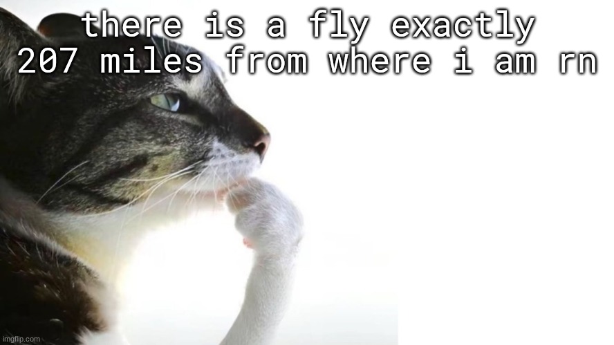 Thinker | there is a fly exactly 207 miles from where i am rn | image tagged in thinker | made w/ Imgflip meme maker