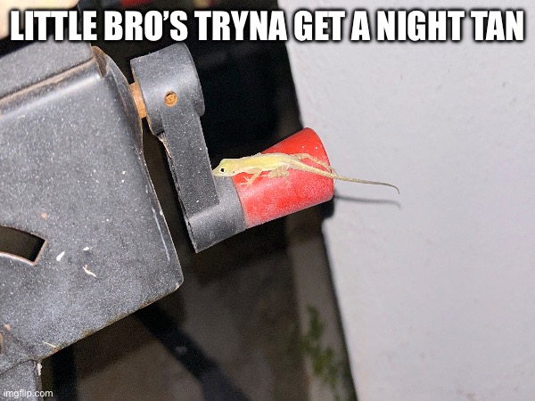 LITTLE BRO’S TRYNA GET A NIGHT TAN | made w/ Imgflip meme maker
