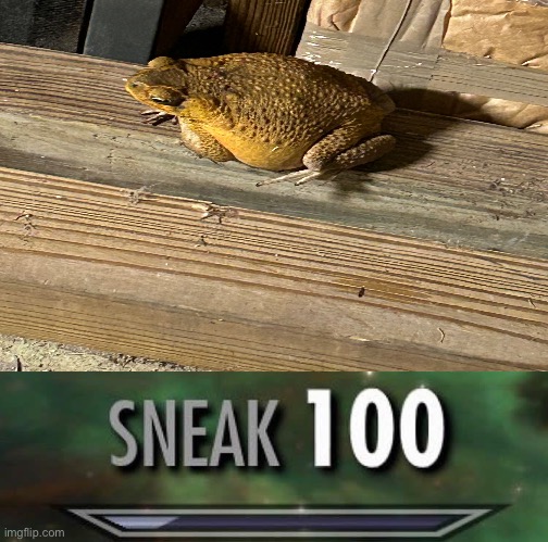 Sneak 100 | image tagged in sneak 100 | made w/ Imgflip meme maker