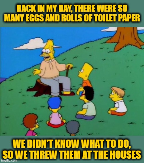 Back in my day | BACK IN MY DAY, THERE WERE SO MANY EGGS AND ROLLS OF TOILET PAPER; WE DIDN'T KNOW WHAT TO DO, SO WE THREW THEM AT THE HOUSES | image tagged in back in my day | made w/ Imgflip meme maker