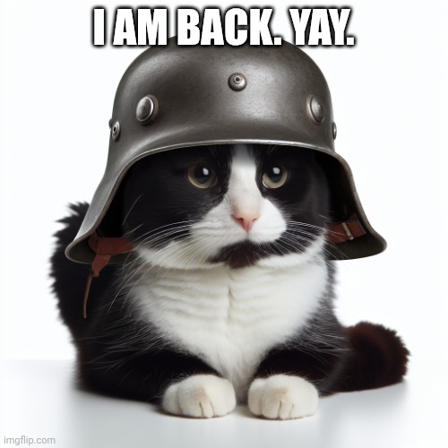 Kaiser_Floppa_the_1st silly post | I AM BACK. YAY. | image tagged in kaiser_floppa_the_1st silly post | made w/ Imgflip meme maker