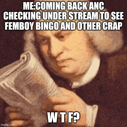 no offence Im just surprised | ME:COMING BACK ANC CHECKING UNDER STREAM TO SEE FEMBOY BINGO AND OTHER CRAP; W T F? | image tagged in wtf what | made w/ Imgflip meme maker