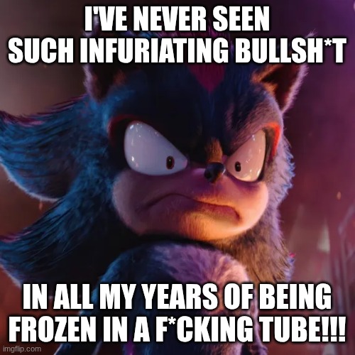 Shadow the hedgehog | I'VE NEVER SEEN SUCH INFURIATING BULLSH*T IN ALL MY YEARS OF BEING FROZEN IN A F*CKING TUBE!!! | image tagged in shadow the hedgehog | made w/ Imgflip meme maker