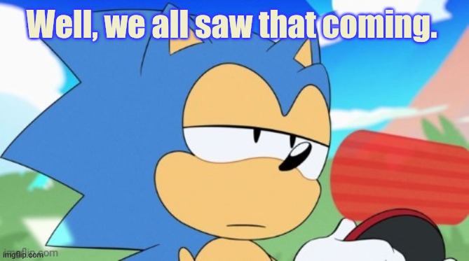 sonic unamused | Well, we all saw that coming. | image tagged in sonic unamused | made w/ Imgflip meme maker