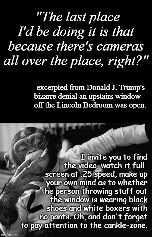 A man who isn't running around in his undies need not fear cameras or deny opening windows -just sayin' | "The last place I'd be doing it is that because there's cameras all over the place, right?"; -excerpted from Donald J. Trump's
bizarre denial an upstairs window
off the Lincoln Bedroom was open. I invite you to find
the video, watch it full-
screen at .25 speed, make up
your own mind as to whether
the person throwing stuff out
the window is wearing black
shoes and white boxers with
no pants. Oh, and don't forget
to pay attention to the cankle-zone. | image tagged in short black template,zip the smoking chimp,skeptical,still not distracted from epstein,poopy pants,just sayin' | made w/ Imgflip meme maker