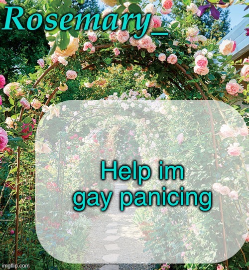 Rosemary_ template | Help im gay panicing | image tagged in rosemary_ template | made w/ Imgflip meme maker