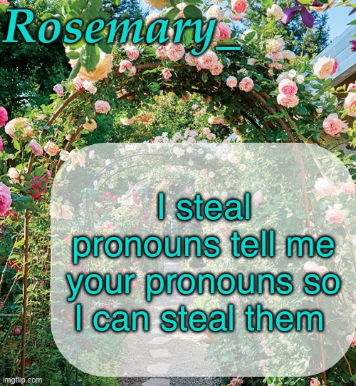 Rosemary_ template | I steal pronouns tell me your pronouns so I can steal them | image tagged in rosemary_ template | made w/ Imgflip meme maker