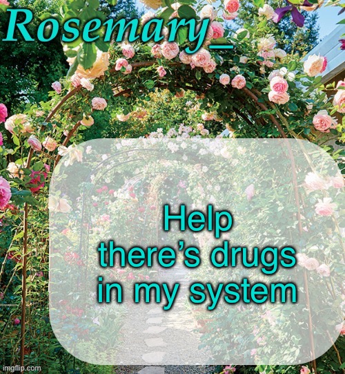 Rosemary_ template | Help there’s drugs in my system | image tagged in rosemary_ template | made w/ Imgflip meme maker