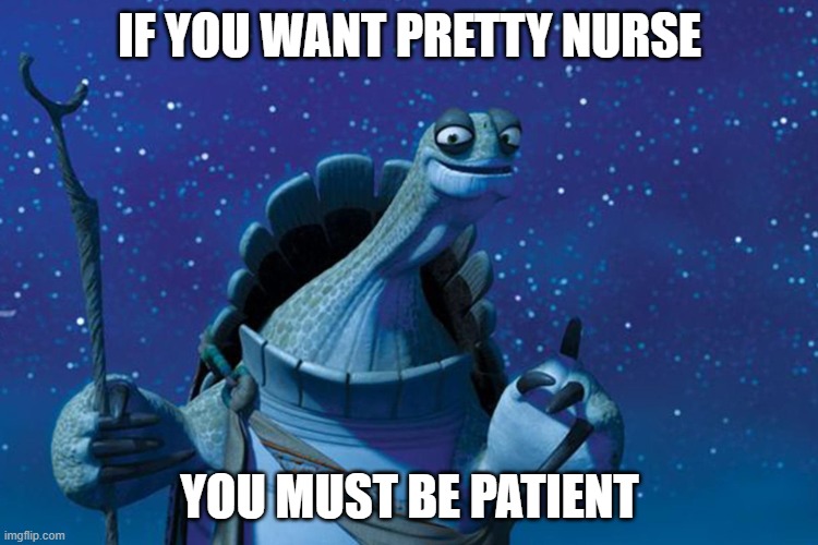 Tautology | IF YOU WANT PRETTY NURSE; YOU MUST BE PATIENT | image tagged in master oogway,wordplay,play on words,funny,funny memes,lol | made w/ Imgflip meme maker