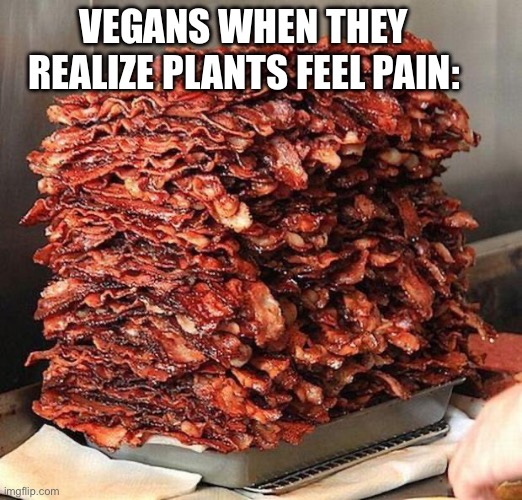 bacon | VEGANS WHEN THEY REALIZE PLANTS FEEL PAIN: | image tagged in bacon | made w/ Imgflip meme maker