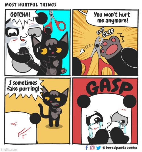 image tagged in bored,panda,cat,nails,hurt,tears | made w/ Imgflip meme maker