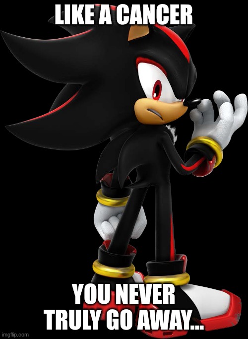 Shadow the hedgehog | LIKE A CANCER YOU NEVER TRULY GO AWAY... | image tagged in shadow the hedgehog | made w/ Imgflip meme maker