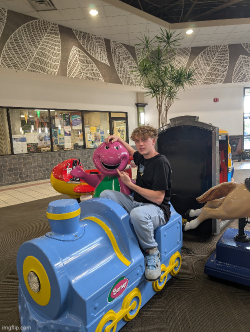 the mall | image tagged in mall,barney | made w/ Imgflip meme maker