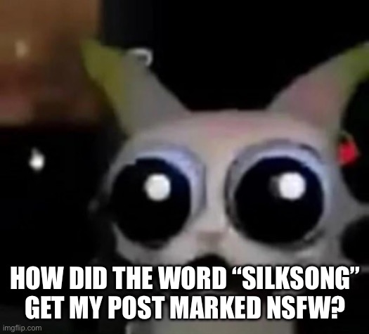 Bruh | HOW DID THE WORD “SILKSONG” GET MY POST MARKED NSFW? | image tagged in scared car | made w/ Imgflip meme maker