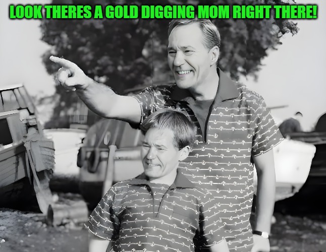 look | LOOK THERES A GOLD DIGGING MOM RIGHT THERE! | image tagged in look | made w/ Imgflip meme maker