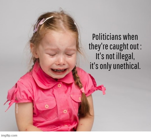 that's ok then | Politicians when they're caught out :
It's not illegal, it's only unethical. minkpen | image tagged in politicians,government,integrity,ethics | made w/ Imgflip meme maker