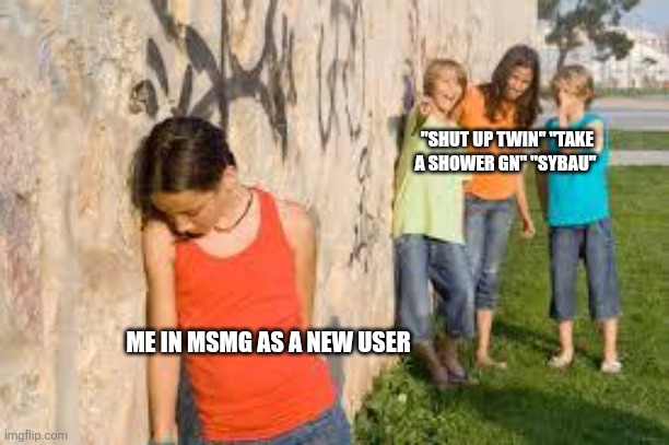 bullying | "SHUT UP TWIN" "TAKE A SHOWER GN" "SYBAU"; ME IN MSMG AS A NEW USER | image tagged in bullying | made w/ Imgflip meme maker