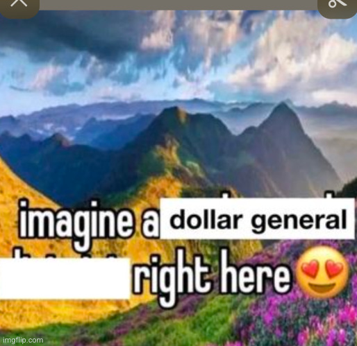 I hate this store bro no | image tagged in dollar general,flowers,so true | made w/ Imgflip meme maker