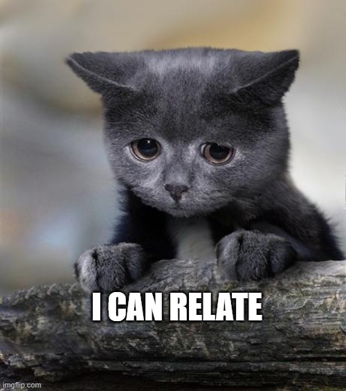 Confession Cat | I CAN RELATE | image tagged in confession cat | made w/ Imgflip meme maker