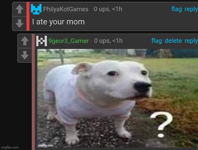 made w/ Imgflip meme maker