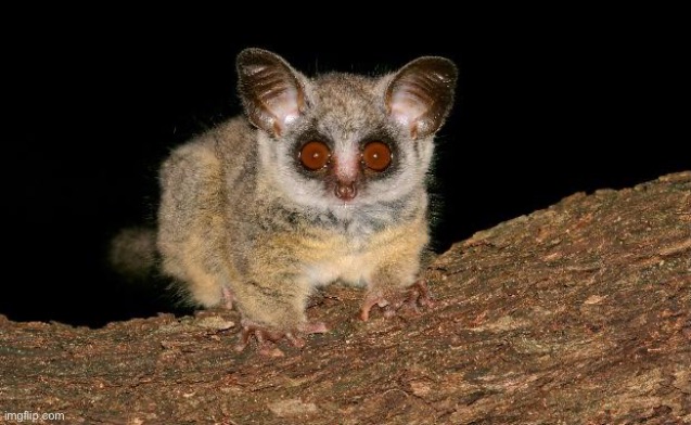 Start digging on thy butt twin | made w/ Imgflip meme maker