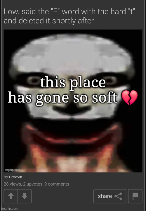 yeah slurs are against the rules but some of yall see someone say a slur and act like the apocalypse is coming </3 | this place has gone so soft 💔 | made w/ Imgflip meme maker