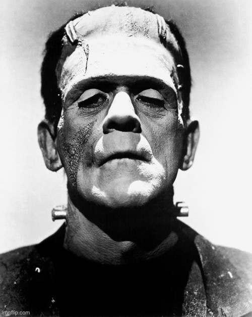 Frankenstein | image tagged in frankenstein | made w/ Imgflip meme maker