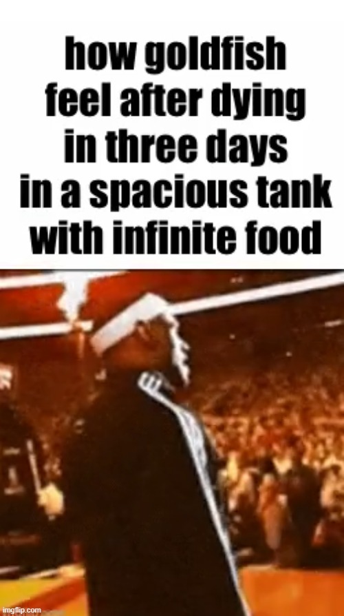 credit to crunchytickleproductions | image tagged in lol,funny,too funny,too lol,lolol,lololol | made w/ Imgflip meme maker