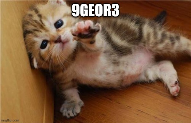 Help Me Kitten | 9GEOR3 | image tagged in help me kitten | made w/ Imgflip meme maker