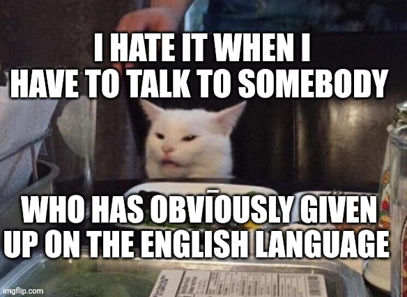 Smudge that darn cat | I HATE IT WHEN I HAVE TO TALK TO SOMEBODY; WHO HAS OBVIOUSLY GIVEN UP ON THE ENGLISH LANGUAGE | image tagged in smudge that darn cat | made w/ Imgflip meme maker