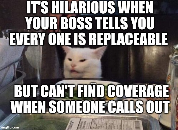 Smudge that darn cat | IT'S HILARIOUS WHEN YOUR BOSS TELLS YOU EVERY ONE IS REPLACEABLE; BUT CAN'T FIND COVERAGE WHEN SOMEONE CALLS OUT | image tagged in smudge that darn cat | made w/ Imgflip meme maker