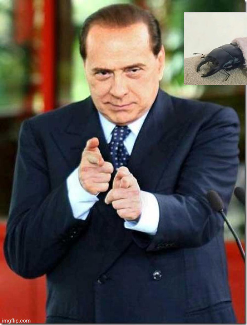 silvio berlusconi | image tagged in silvio berlusconi | made w/ Imgflip meme maker