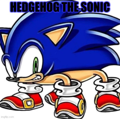 He can't hurt you | HEDGEHOG THE SONIC | image tagged in sonic the hedgehog,sonic | made w/ Imgflip meme maker