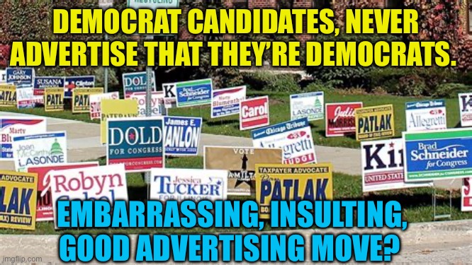 Democrats hide their party affiliation | DEMOCRAT CANDIDATES, NEVER ADVERTISE THAT THEY’RE DEMOCRATS. EMBARRASSING, INSULTING, GOOD ADVERTISING MOVE? | image tagged in gifs,democrats,democratic socialism,embarrassed,advertising | made w/ Imgflip meme maker
