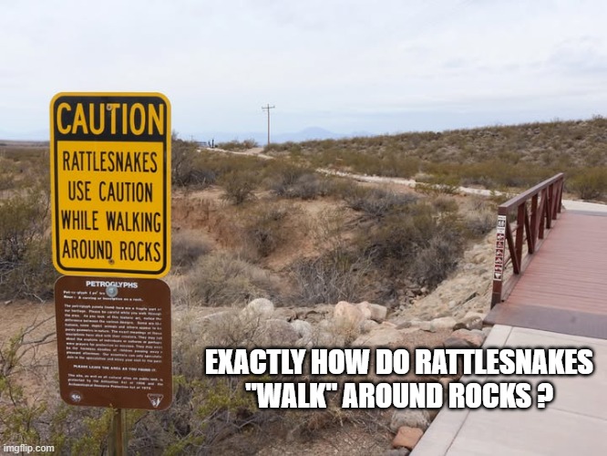 Rattlesnakes use caution walking around rocks. How do snakes walk? | EXACTLY HOW DO RATTLESNAKES "WALK" AROUND ROCKS ? | image tagged in funny,snakes,walking,rocks,humor,play on words | made w/ Imgflip meme maker